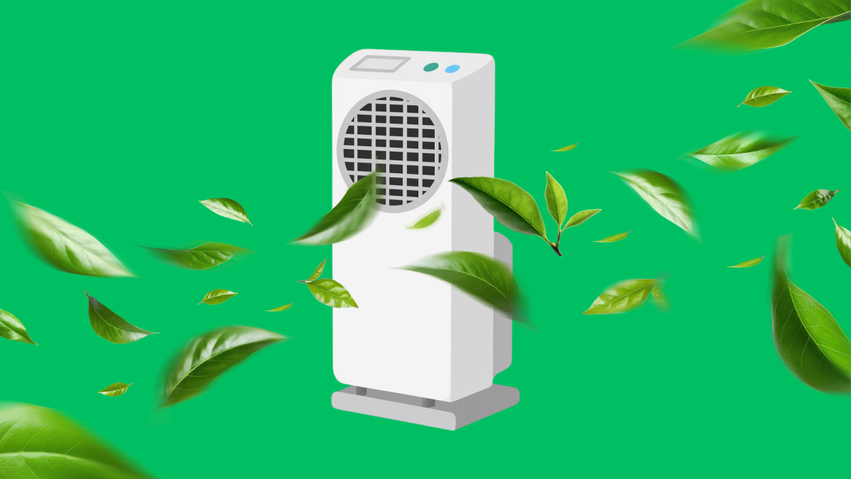 purifier